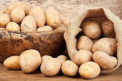 视觉小说游戏《爱情，金钱，摇滚乐》今日上线steam 支持中文